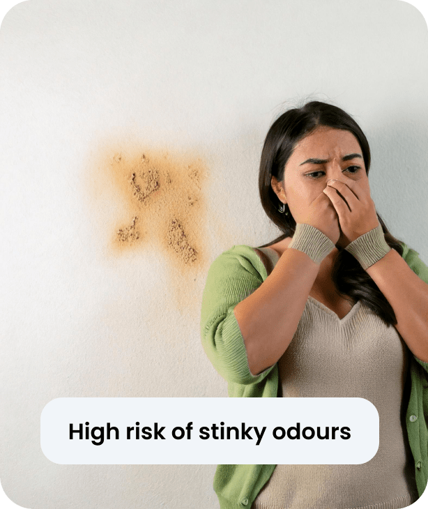 stinky-odour